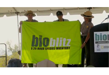 BIOBLITZ-366X251 BioBlitz-366x251