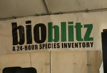 BIOBLITZ-MOBILE-LEARNING-366X251 BioBlitz-Mobile-Learning-366x251