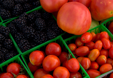 FARMERS-MARKET-MOBILE-PAYMENTS-366X251 Farmers-Market-Mobile-Payments-366x251