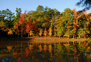 FALL-FOLIAGE-APPS-366X251 fall-foliage-apps-366x251