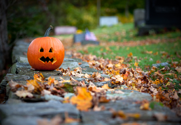 HALLOWEEN-FUN-366X251 Halloween-Fun-366x251