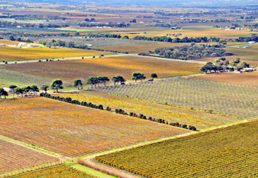 M2M-IN-RURAL-AMERICA-366X251 M2M-in-Rural-America-366x251