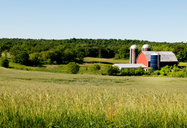WISCONSIN-366-252 wisconsin-366-252