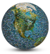Globe