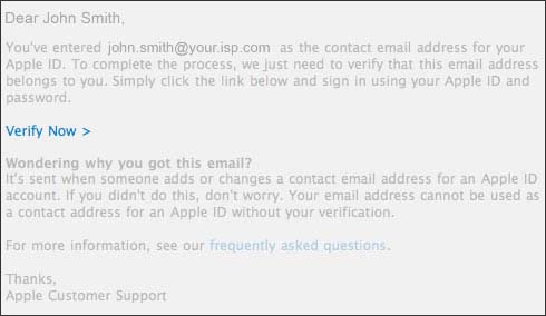 open verification email then verify now
