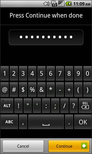 Password screen with Continue