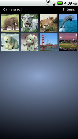 All photos with available photos