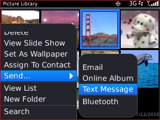 Pictures send menu with Text Message