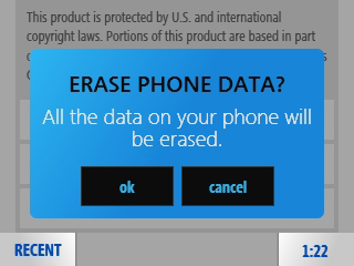 Erase Phone Data Warning screen